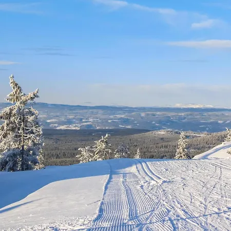 Amazing In With Wifi Holiday home Sjusjoen